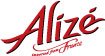 アリーゼ - ROJI日本橋 ONLINE STORE