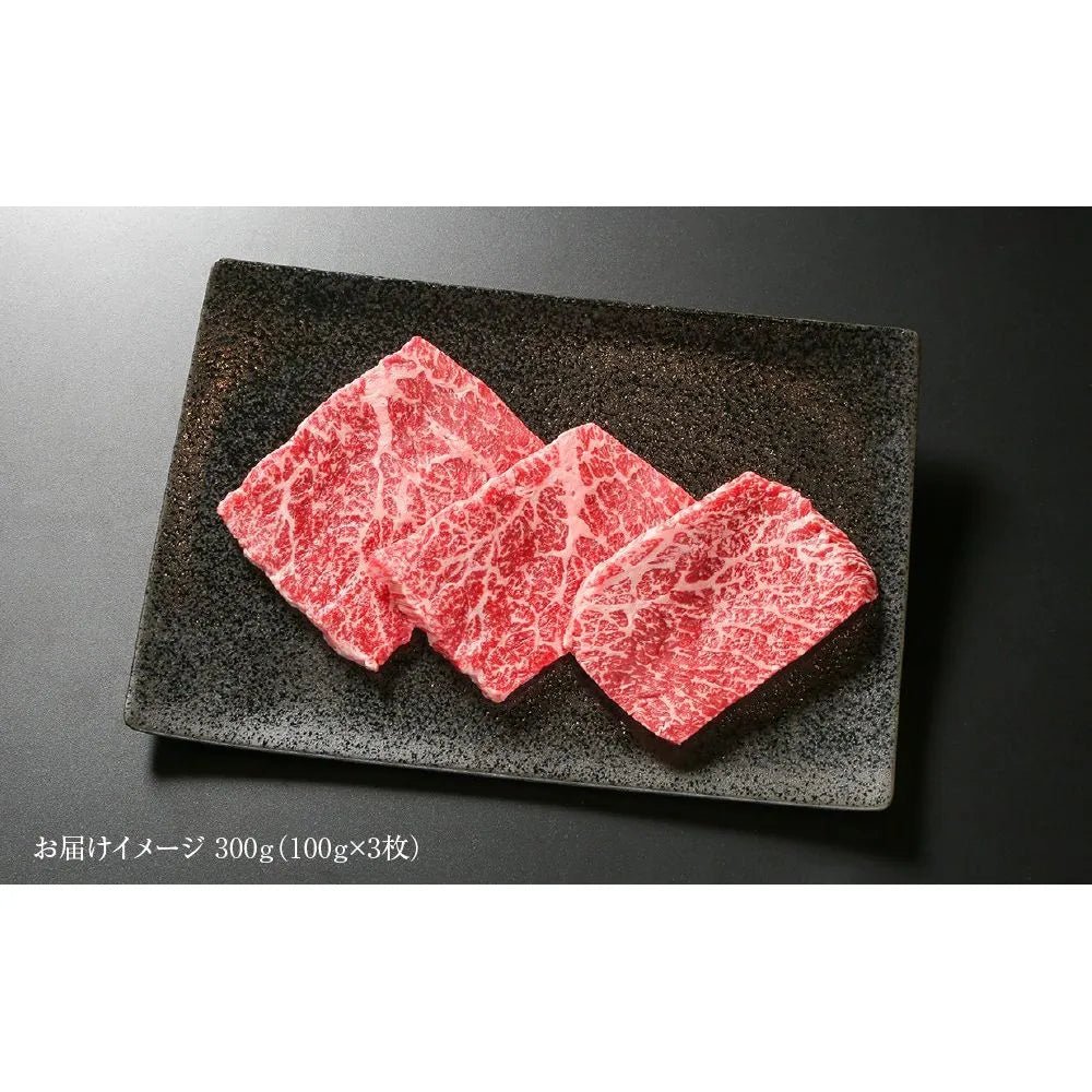 【おはぎ様】専用・赤360g&肌300g≪リクエスト特割特価≫ 送料込み】【岐阜県】飛騨牛 赤身 ステーキ 100g 3枚 （MZ025） - 肉