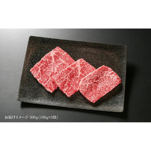 【送料込み】【岐阜県】飛騨牛 赤身 ステーキ 100g 3枚 (MZ025) - ROJI日本橋 ONLINE STORE