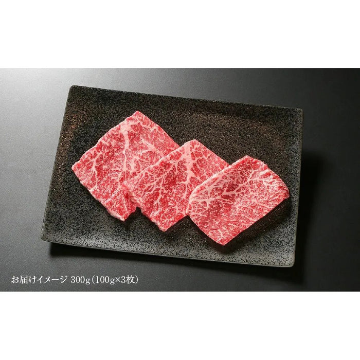 【送料込み】【岐阜県】飛騨牛 赤身 ステーキ 100g 3枚 (MZ025) - ROJI日本橋 ONLINE STORE