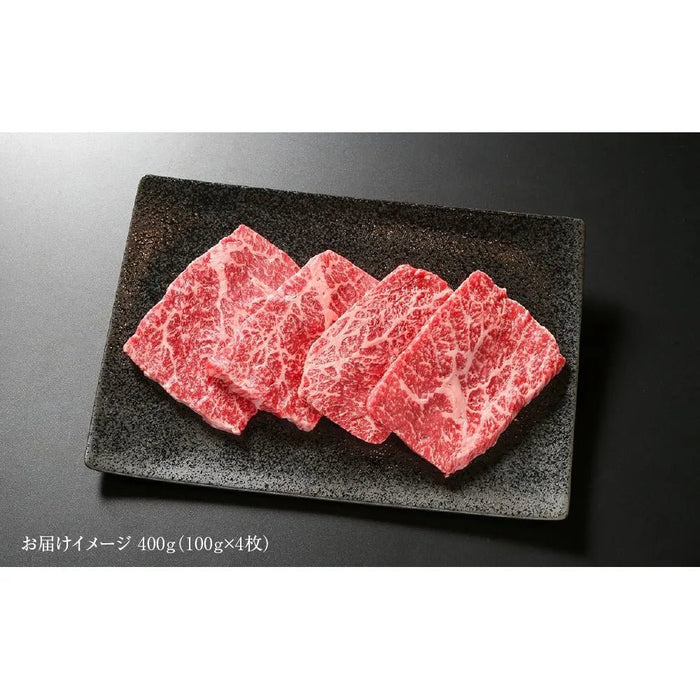 【送料込み】【岐阜県】飛騨牛 赤身 ステーキ 100g 4枚(MZ026) - ROJI日本橋 ONLINE STORE