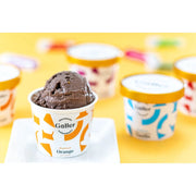 【送料込み】【大阪府】ガレー プレミアムアイスクリームセット 12個 - ROJI日本橋 ONLINE STORE
