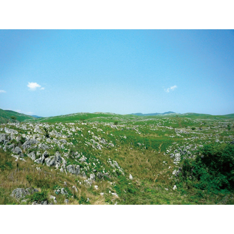 【送料込み】【山口県】長門ゆずきちくん(ジュース)24本セット - ROJI日本橋 ONLINE STORE