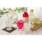 【送料込み】【和歌山県】 熊野サイダー 3種12本セット - ROJI日本橋 ONLINE STORE