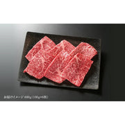 【送料込み】【岐阜県】飛騨牛 赤身ステーキ 600g(100g×6枚) (MZ018) - ROJI日本橋 ONLINE STORE