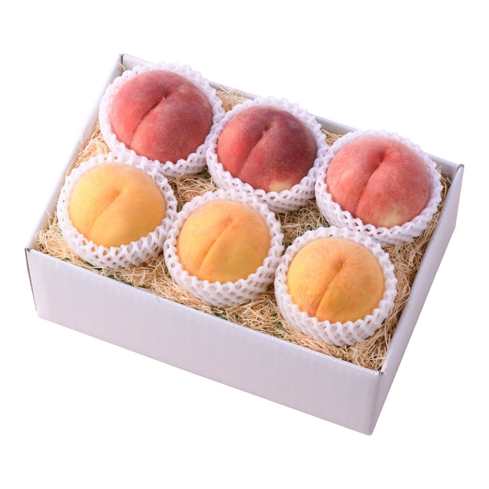 【送料込み】桃 食べくらべ - ROJI日本橋 ONLINE STORE