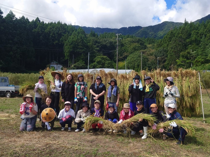 READY!LADY!READY!海のこぼれ日 純米吟醸 720ml - ROJI日本橋 ONLINE STORE