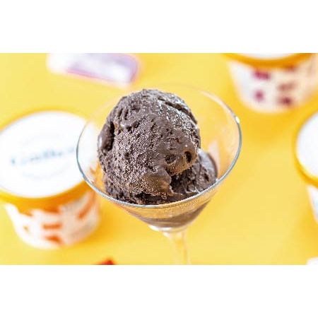 ガレー プレミアムアイスクリームセット 12個 - ROJI日本橋 ONLINE STORE