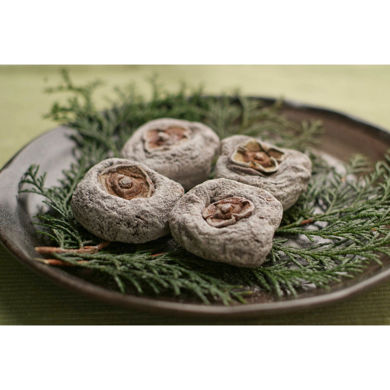 王隠堂 大和の干し柿 約40g×30個 - ROJI日本橋 ONLINE STORE