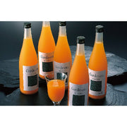 ガーディ・オレ・スペシャル 720ml×6本 - ROJI日本橋 ONLINE STORE