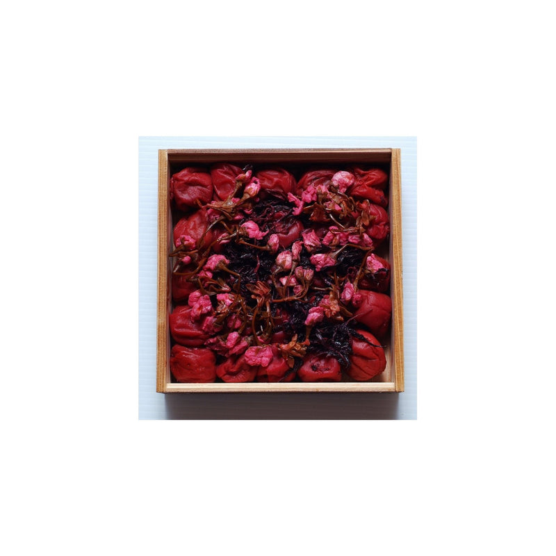 王隠堂 さくら梅 800g - ROJI日本橋 ONLINE STORE