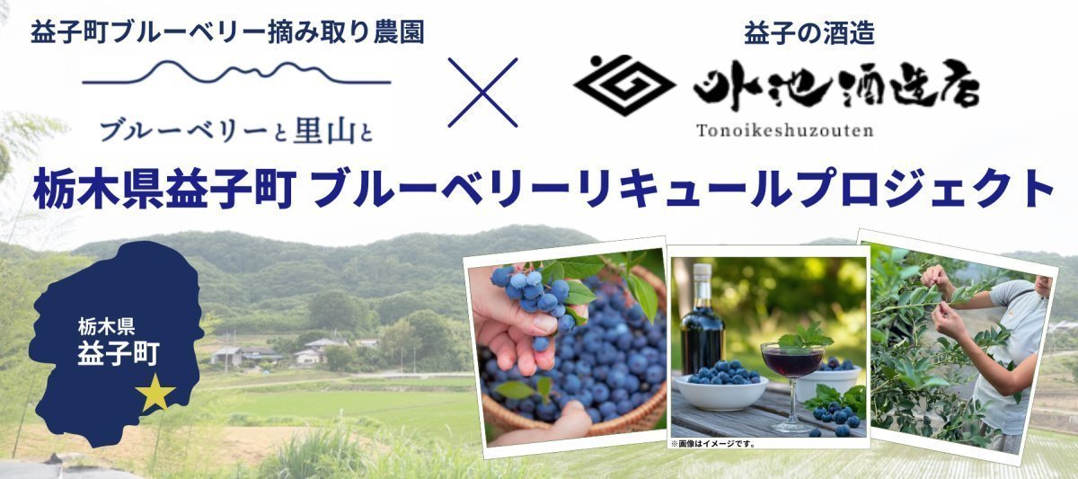 【ROJI日本橋オンライン】栃⽊県益⼦町 ブルーベリーリキュールプロジェクト（2025年7月22日更新） - ROJI日本橋 ONLINE STORE