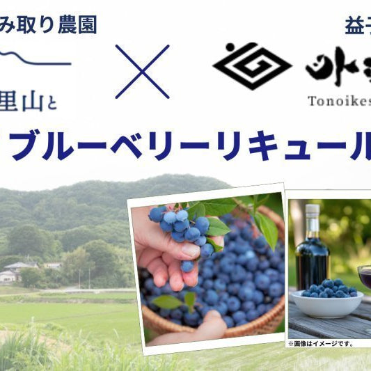 【ROJI日本橋オンライン】栃⽊県益⼦町 ブルーベリーリキュールプロジェクト（2025年7月22日更新） - ROJI日本橋 ONLINE STORE