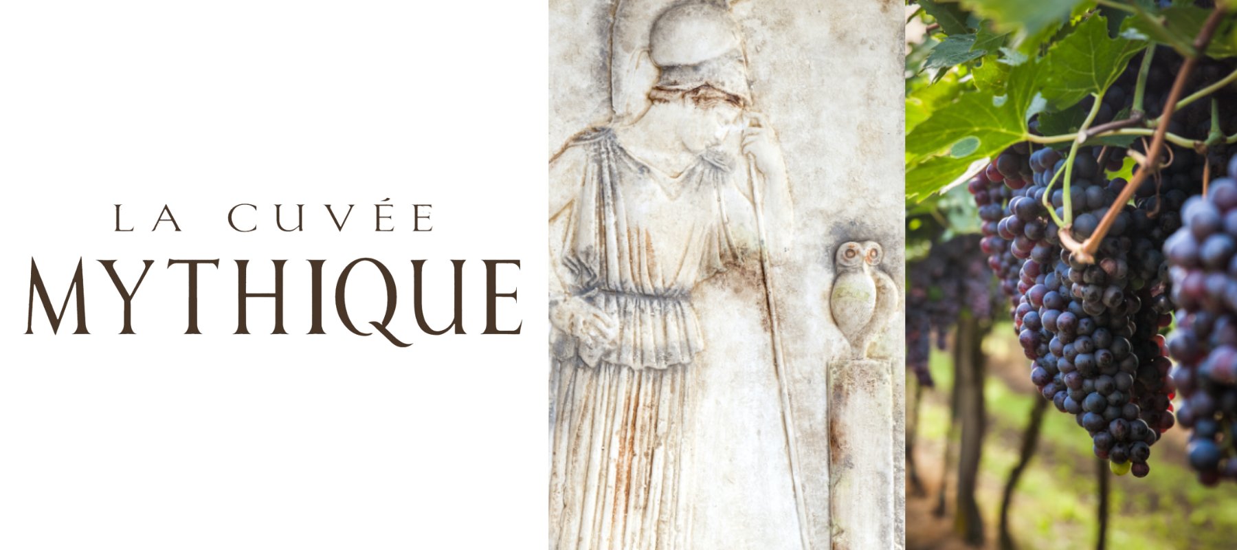 キュヴェ・ミティーク - ROJI日本橋 ONLINE STORE