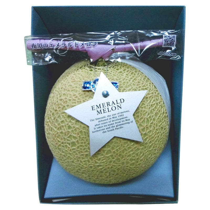 【送料込み】【高知県】エメラルドメロン［1玉］ - ROJI日本橋 ONLINE STORE