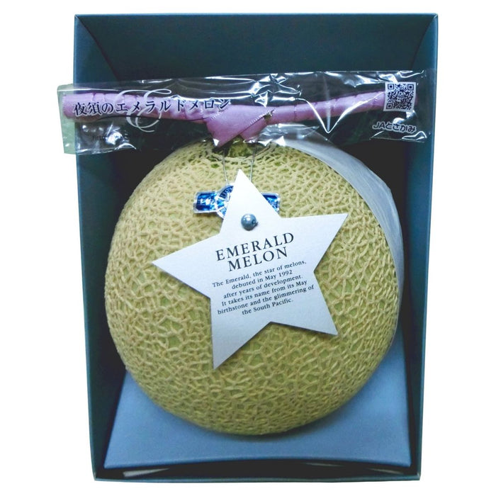 【送料込み】【高知県】エメラルドメロン［1玉］ - ROJI日本橋 ONLINE STORE