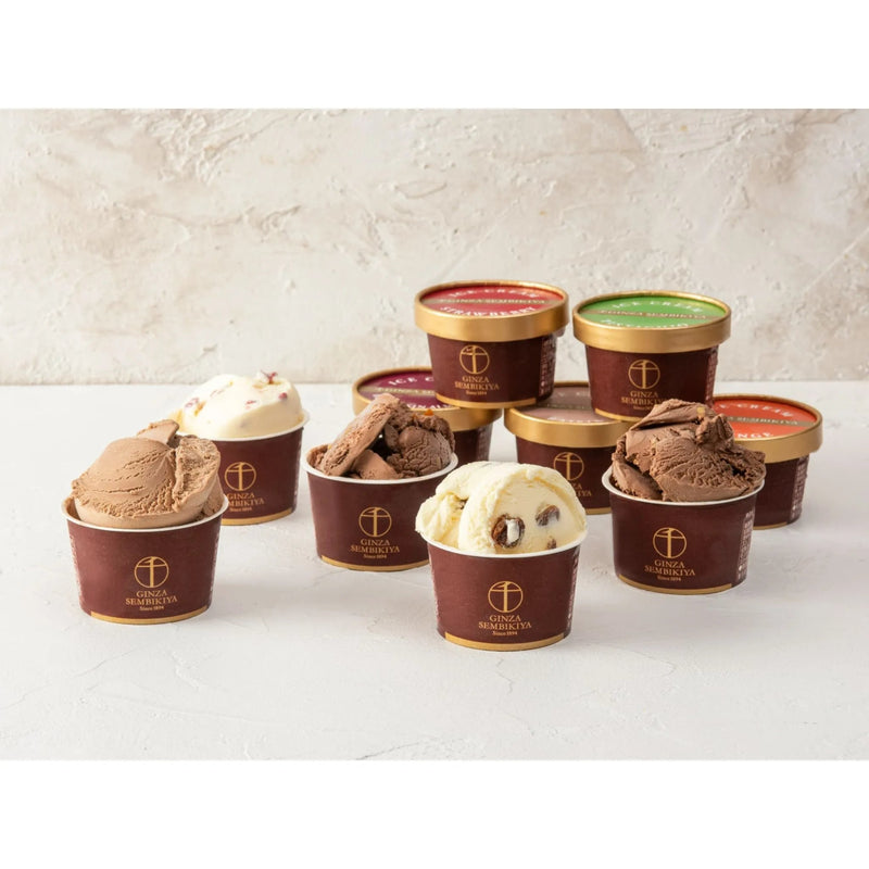 【送料込み】【東京都】銀座千疋屋　銀座ショコラアイス 10個 - ROJI日本橋 ONLINE STORE