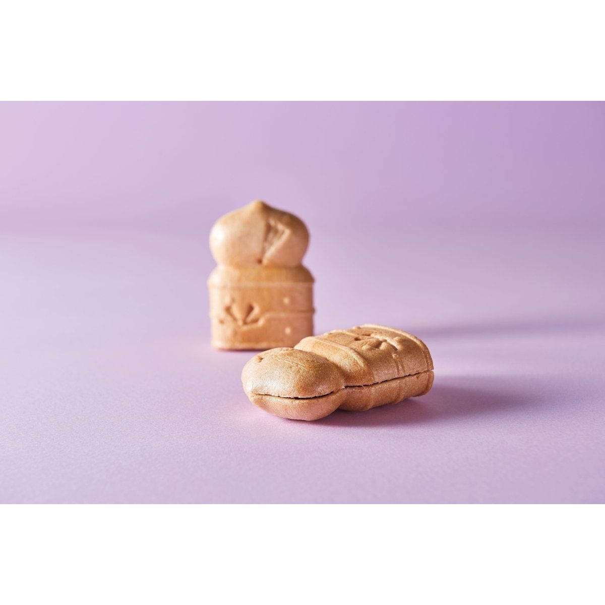 【送料込み】【京都府】ごじょうぎぼし最中 牛若丸 10個入 - ROJI日本橋 ONLINE STORE