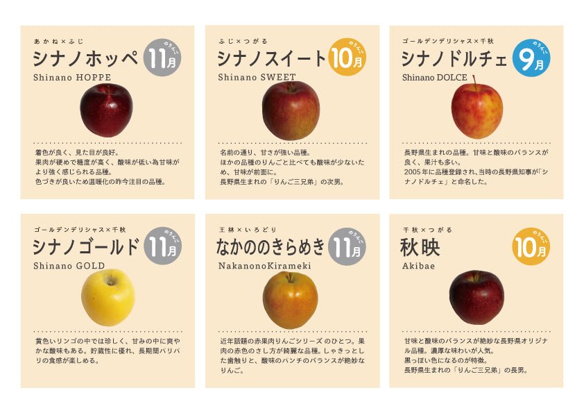 送料込み】長野県飯綱町産りんご100％使用 ストレートジュース6種類