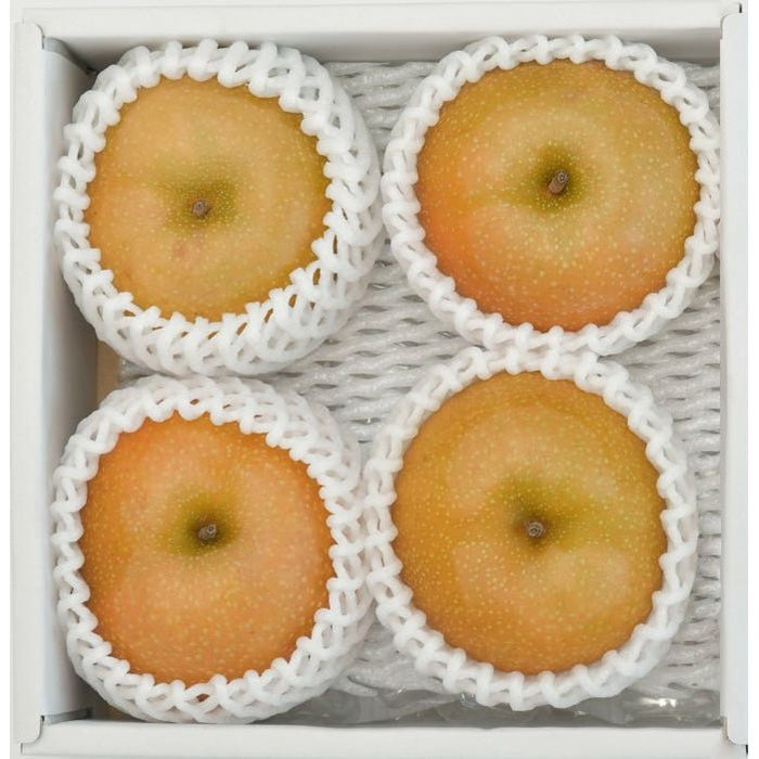 【送料込み】【鳥取県】新甘泉（梨）［1.2kg］ - ROJI日本橋 ONLINE STORE