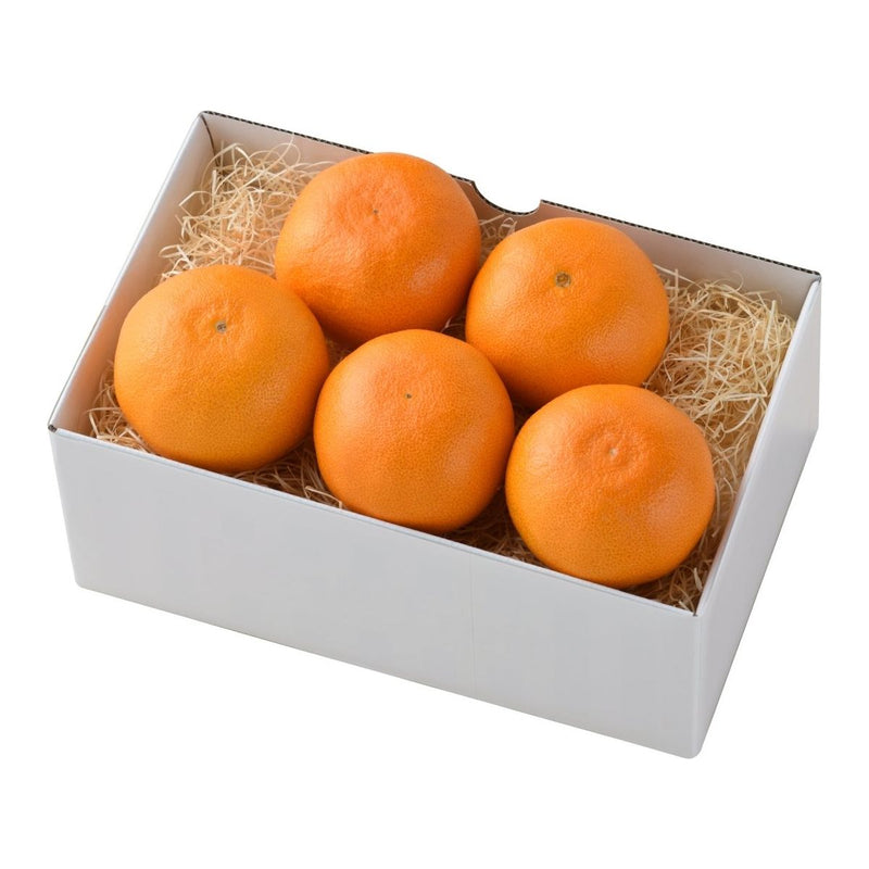 【送料込み】【愛媛県】愛媛県産 せとか［1.3kg］ - ROJI日本橋 ONLINE STORE