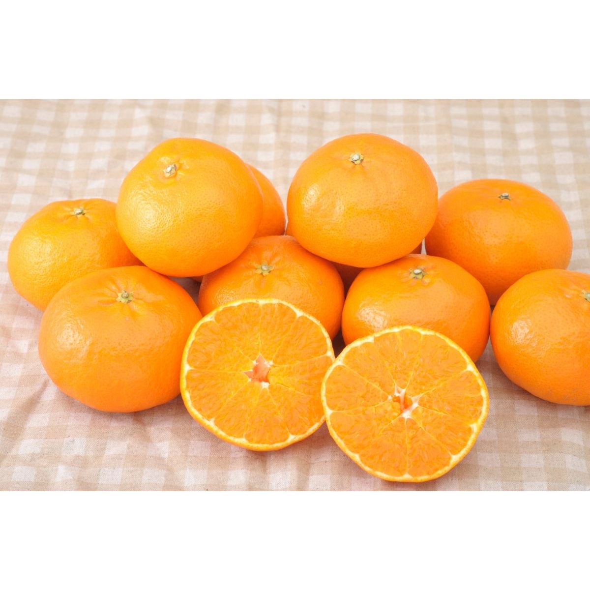 【送料込み】【愛媛県】愛媛県産 せとか［1.3kg］ - ROJI日本橋 ONLINE STORE