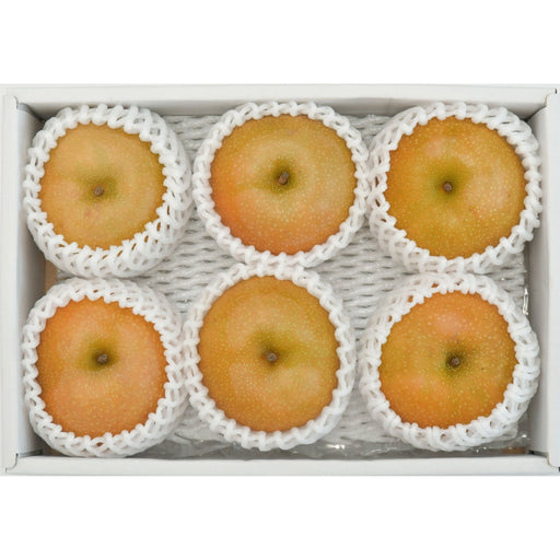【送料込み】【鳥取県】新甘泉（梨）［1.3kg］ - ROJI日本橋 ONLINE STORE