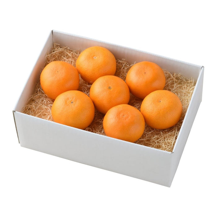 【送料込み】【愛媛県】愛媛県産 せとか［1.8kg］ - ROJI日本橋 ONLINE STORE