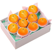【送料込み】【愛媛県】愛媛県産 甘平［1.8kg］ - ROJI日本橋 ONLINE STORE