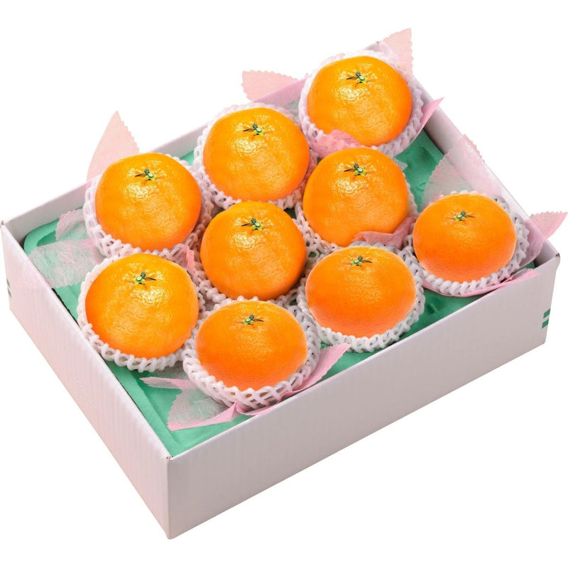 【送料込み】【愛媛県】愛媛県産 甘平［1.8kg］ - ROJI日本橋 ONLINE STORE