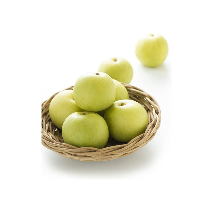 【送料込み】二十世紀梨［1.8kg］ - ROJI日本橋 ONLINE STORE