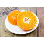 【送料込み】【愛媛県】愛媛県産 甘平［1.8kg］ - ROJI日本橋 ONLINE STORE