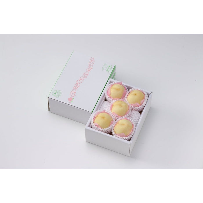 【送料込み】【岡山県】岡山県産 冬桃［1kg］ - ROJI日本橋 ONLINE STORE