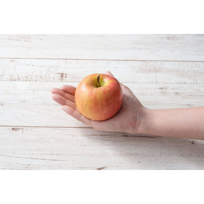 【送料込み】【山形県】山形県産 高徳（りんご）［2kg］ - ROJI日本橋 ONLINE STORE