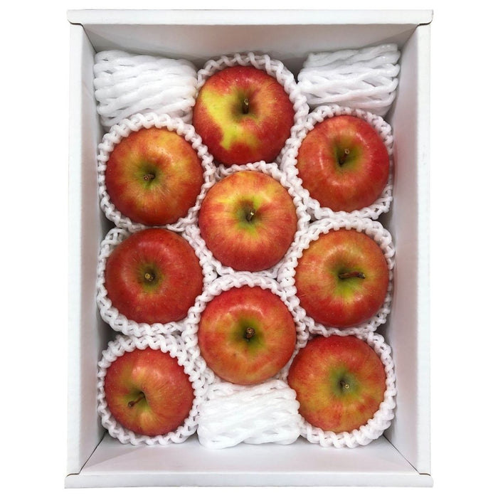 【送料込み】【山形県】山形県産 高徳（りんご）［2kg］ - ROJI日本橋 ONLINE STORE