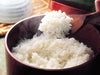 【送料込み】【新潟県】雪温精法　氷温熟成®　魚沼産こしひかり特別栽培米（窒素充填包装）2kg×2袋 - ROJI日本橋 ONLINE STORE