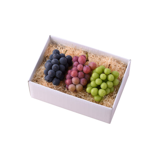 【送料込み】3色のぶどう食べくらべセット - ROJI日本橋 ONLINE STORE
