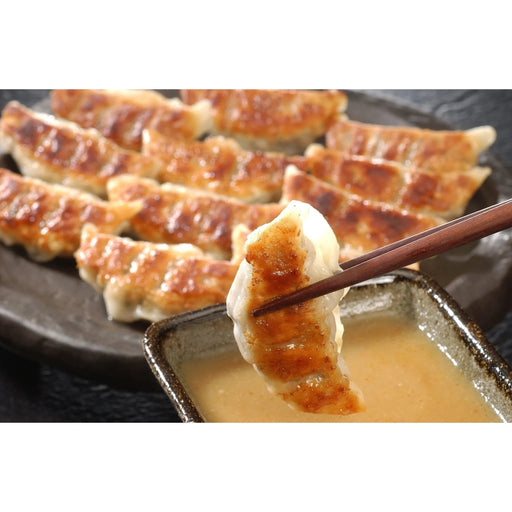【送料込み】【兵庫県】芦屋　伊東屋謹製 黒豚餃子と九条葱餃子セット　計36個 - ROJI日本橋 ONLINE STORE