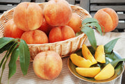 【送料込み】【山形県】山形県産　黄金桃［３ｋｇ］ - ROJI日本橋 ONLINE STORE
