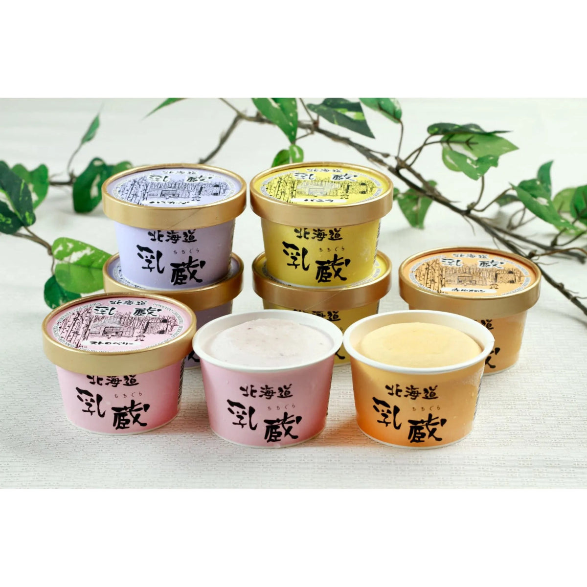 【送料込み】【北海道】「乳蔵」北海道アイスクリーム４種８個 - ROJI日本橋 ONLINE STORE