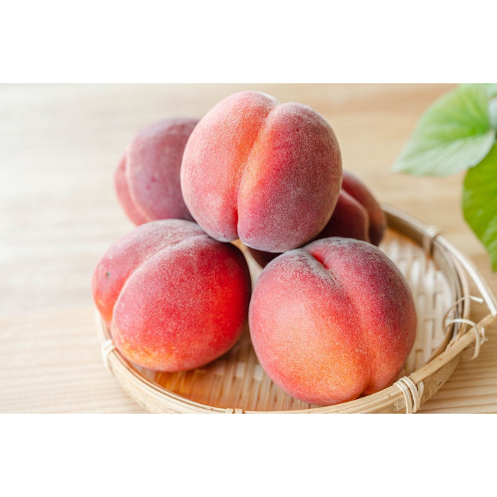 【送料込み】【長野県】長野県産　ワッサー［4kg］ - ROJI日本橋 ONLINE STORE