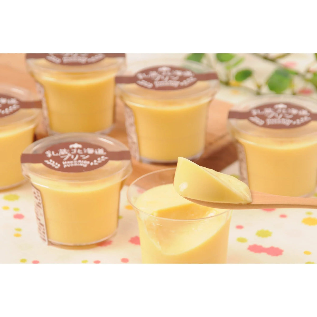 【送料込み】【北海道】「乳蔵」北海道プリン 5個 - ROJI日本橋 ONLINE STORE