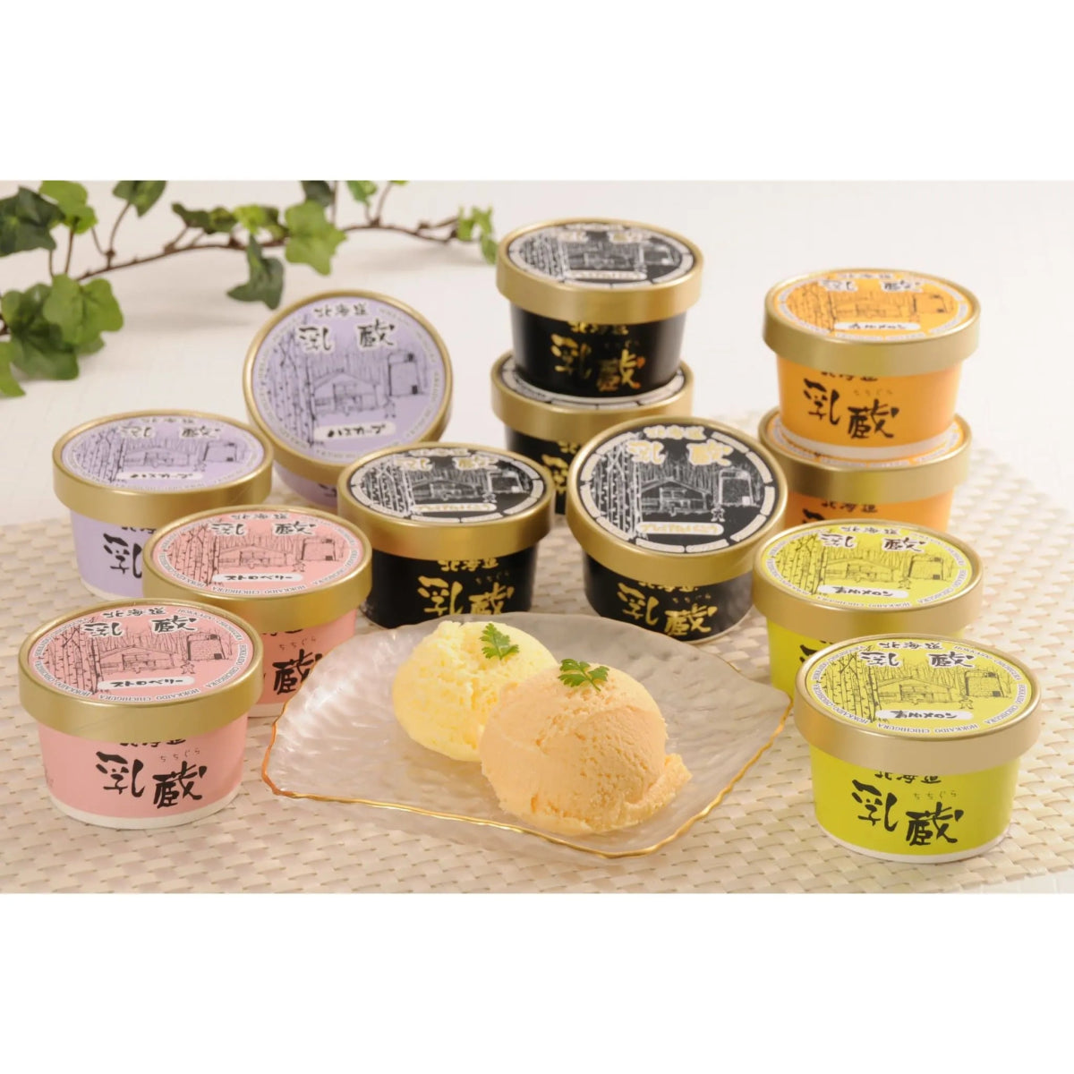 【送料込み】【北海道】「乳蔵」北海道アイスクリーム５種１２個 - ROJI日本橋 ONLINE STORE