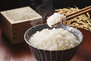【送料込み】【新潟県】雪温精法　魚沼産こしひかり（窒素充填包装）5kg - ROJI日本橋 ONLINE STORE