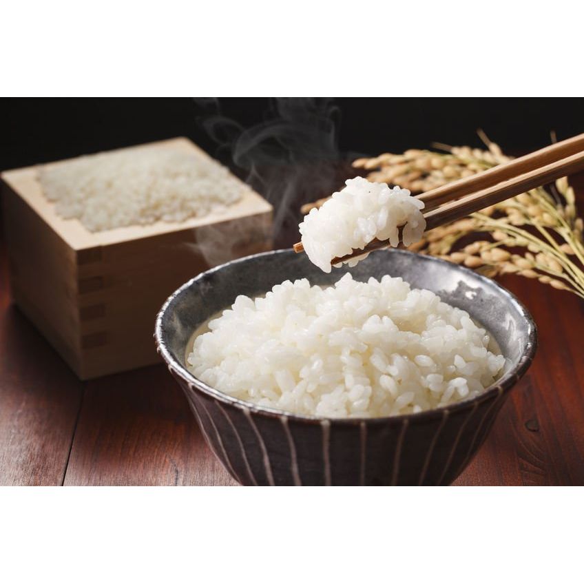 【送料込み】【新潟県】雪温精法　魚沼産こしひかり（窒素充填包装）5kg - ROJI日本橋 ONLINE STORE