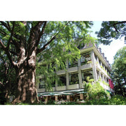 【送料込み】【東京都日比谷松本楼 スープ6種セット - ROJI日本橋 ONLINE STORE