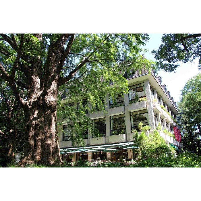 【送料込み】【東京都日比谷松本楼 スープ6種セット - ROJI日本橋 ONLINE STORE