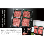 飛騨牛 霜降りスライス（すき焼き/しゃぶしゃぶ）600ｇ （MZ002） - ROJI日本橋 ONLINE STORE