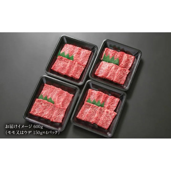 【送料込み】【岐阜県】飛騨牛 赤身焼肉 600ｇ （MZ006） - ROJI日本橋 ONLINE STORE