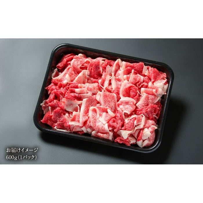 【訳あり】 飛騨牛 切落とし 600ｇ （MZ011） - ROJI日本橋 ONLINE STORE